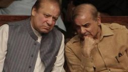 Nawaz asks Shehbaz to focus on national interest in PTI talks