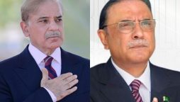 APS Tragedy: President Zardari, PM Shehbaz vow to end tourism