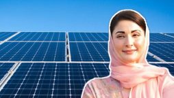 Free Solar Panel Scheme; Steps to check your application status