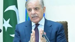PM Shehbaz forms high-level committee for talks with PTI
