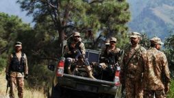 Security forces killed eight terrorists in two separate operations