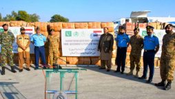 Pakistan dispatches aid shipment for Lebanon, Gaza, Syria