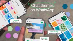 WhatsApp chat themes
