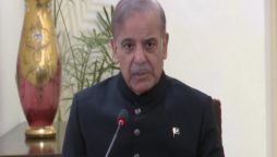 Pakistan-India agree to immediate ceasefire, confirms PM Shehbaz
