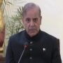 Pakistan-India agree to immediate ceasefire, confirms PM Shehbaz