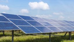 Government postpones decision on net metering policy