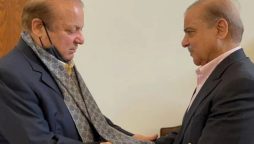 Shehbaz Sharif meets Nawaz Sharif, discusses political situation