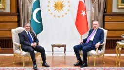 Pakistan, Turkiye commit to strengthen ties for regional peace, development