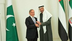 UAE commits to strengthening ties with Pakistan for regional peace