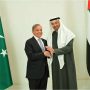 UAE commits to strengthening ties with Pakistan for regional peace