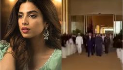 Sonya Hussyn questions UAE's grand welcome for Donald Trump