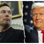 Musk vs. Trump: allegations and political fallout