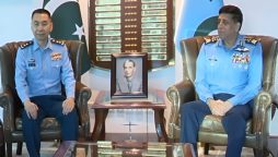 Chinese Air Force delegation meets PAF Chief Marshal Zaheer Sidhu