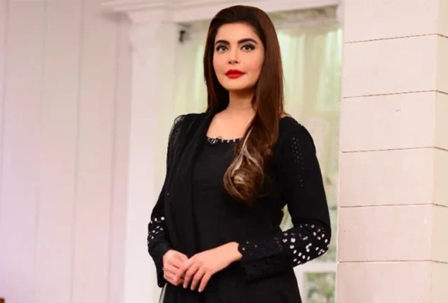 Nida Yasir’s maid exposed as a thief