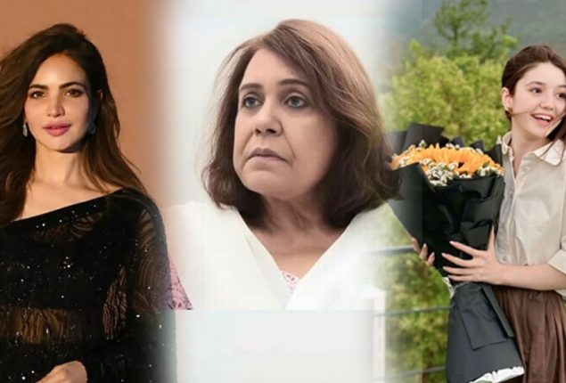 Silent departures of Pakistani showbiz in 2025