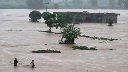 Urban flooding alert in Punjab, Monsoon deaths reach 289