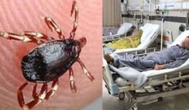 Another coongo fever case detected in Karachi