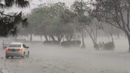 Rainfall forecasted in Sindh from today, Metrological Dept
