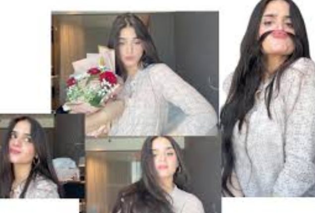 luxury doesn't change life, Hira Mani's post goes viral