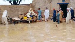 KP Flood Tragedy: Gandapur declares day of mourning as death toll rises to 229