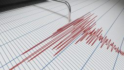 4.8 magnitude earthquake jolts Hunza and surrounding areas