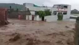 Heavy monsoon rains lash Punjab, submerging low-lying areas