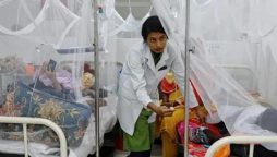 Dengue cases on the rise in Rawalpindi and Murree