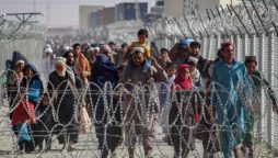 Govt forms teams to trace Afghan Refugees after deadline period ends
