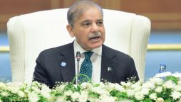 PM Shehbaz stresses peace and cooperation at SCO summit