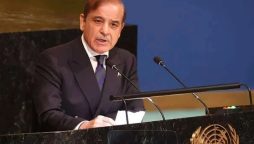 Govt forms AI advisory panel to boost digital transformation in Pakistan