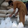Wheat flour crisis deepens in Balochistan
