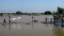 FFD issues update on dams, rivers' flood levels