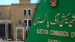Local government elections in Punjab to be held in last week of December 2025: ECP