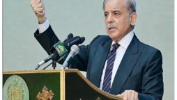 PM Shehbaz sorms high-level negotiation committee to resolve AJK people’s issues