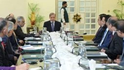PM Shehbaz Sharif chairs key meeting on Afghan repartiation