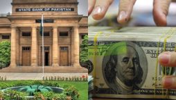 State Bank of Pakistan reports $20 Million increase in foreign reserves