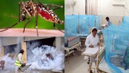 Pakistan battles rising dengue cases as Panjgur declares health emergency