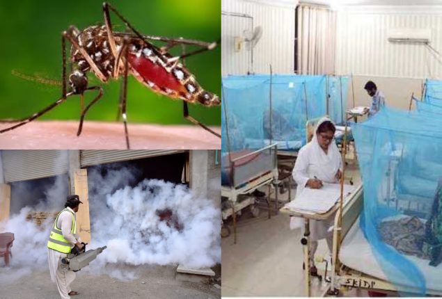 Pakistan battles rising dengue cases as Panjgur declares health emergency