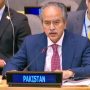 Pakistan calls for rule of law in Palestine, Kashmir Conflicts