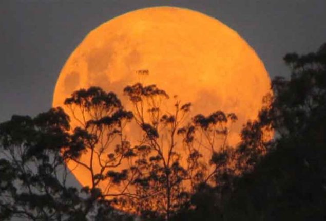 Year’s first supermoon to light up skies tonight