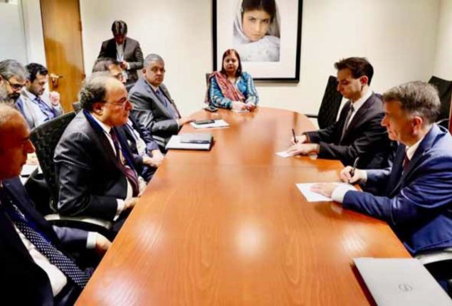 Aurangzeb urges US companies to invest in key Pakistani sectors