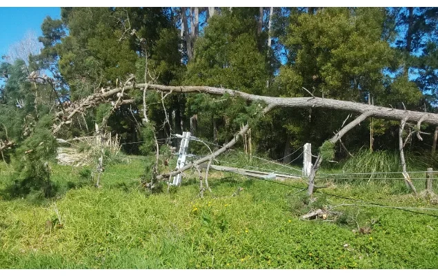 Power outages and chaos as fierce winds batter New Zealand.