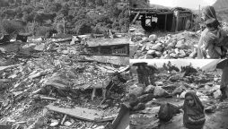 A Shattered Morning of 2005