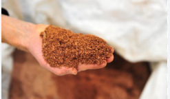 China tightens rare earth export controls ahead of expected Trump-Xi meeting