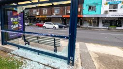 Gunman opens fire on Busy Sydney Street, injures 20 in random shooting.