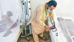 Dengue spread accelerates in Karachi, 2 more lives lost