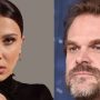 Millie Bobby Brown files bullying complaint against David Harbour