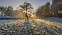 Dry weather to prevail across most parts of the country: PMD