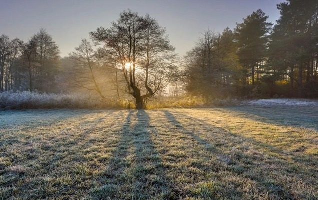 Dry weather to prevail across most parts of the country: PMD