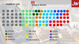 Boycott fails to halt Senate passage of 27th Constitutional Amendment